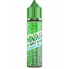 Mint & Dragon Fruit (50mL)