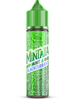 Mint & Blackcurrant | 50mL