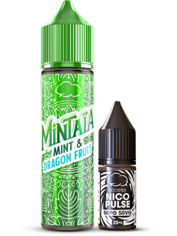 Mint & Dragon Fruit | Pack 3mg