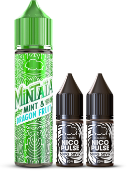 Mint & Dragon Fruit | Pack 6mg