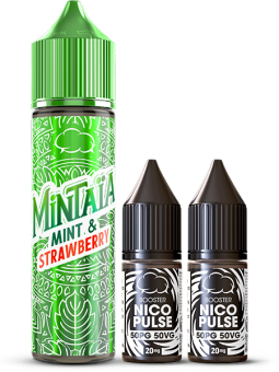 Mint & Strawberry | Pack 6mg