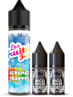 Agrumes frappés | Pack 6mg